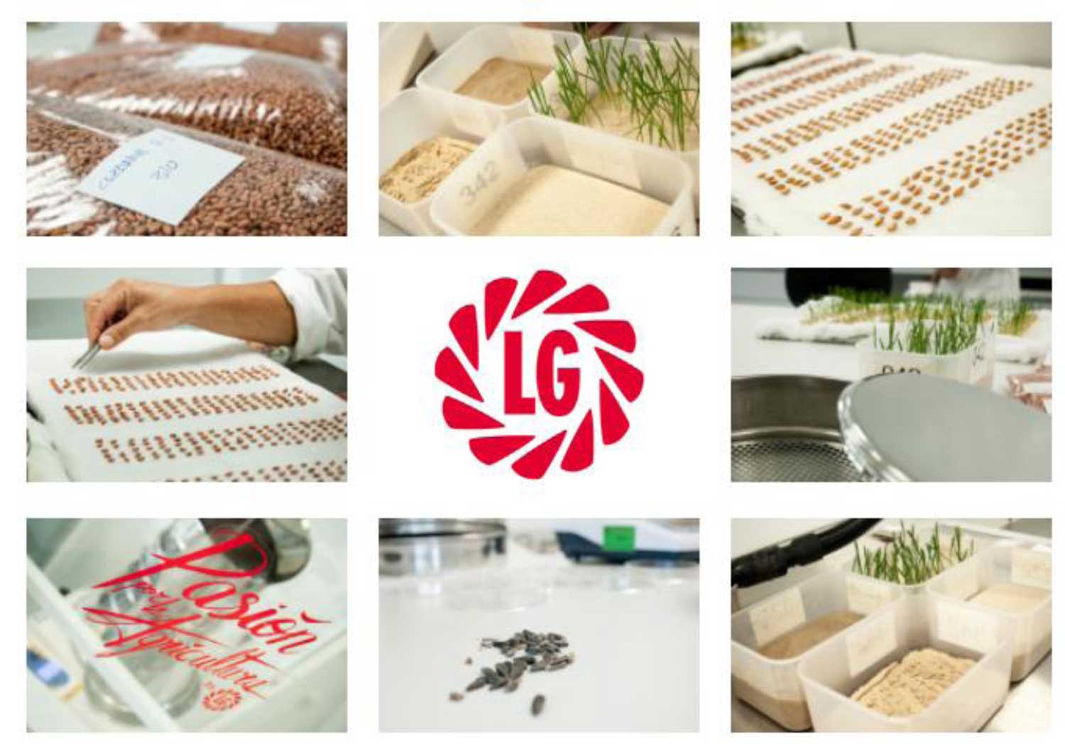 Semillas LG inaugura un nuevo laboratorio que le permitirá seguir dando respuesta a las necesidades del sector