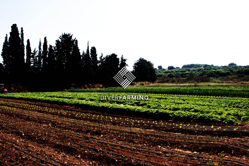 El proyecto Diverfarming analiza el cambio de paradigma en la agricultura europea